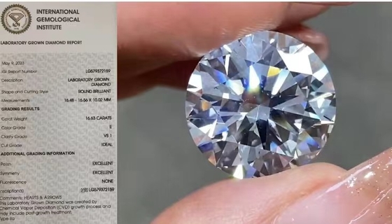 IGI Loose Lab stworzyło diamenty 16.63 Carat VS1 Round E Color